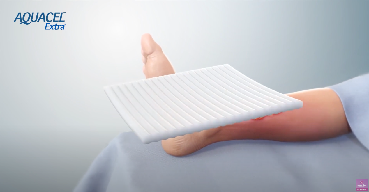 a hand holding a piece of paper