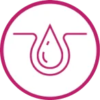 icône